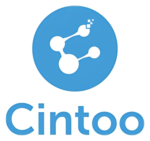 Cintoo